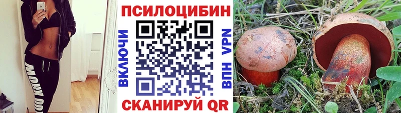Псилоцибиновые грибы MAGIC MUSHROOMS  Закаменск 